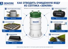 Зорде Рейн 10 Лонг
