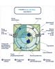 Гринлос Аква 4 Миди - фото 4